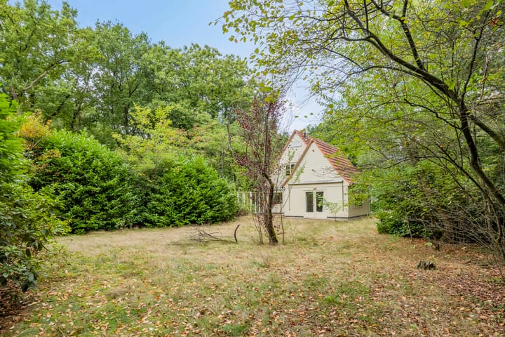 Photo 35 of Hazenloop 33