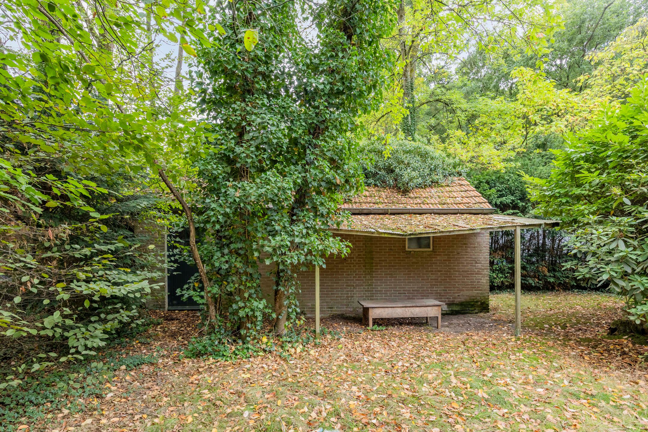 Foto 36 van Hazenloop 33