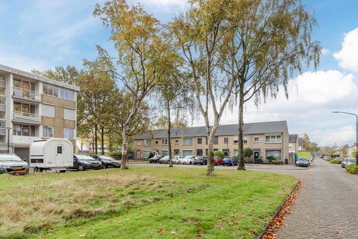 Foto 37 van Ranonkelstraat 59