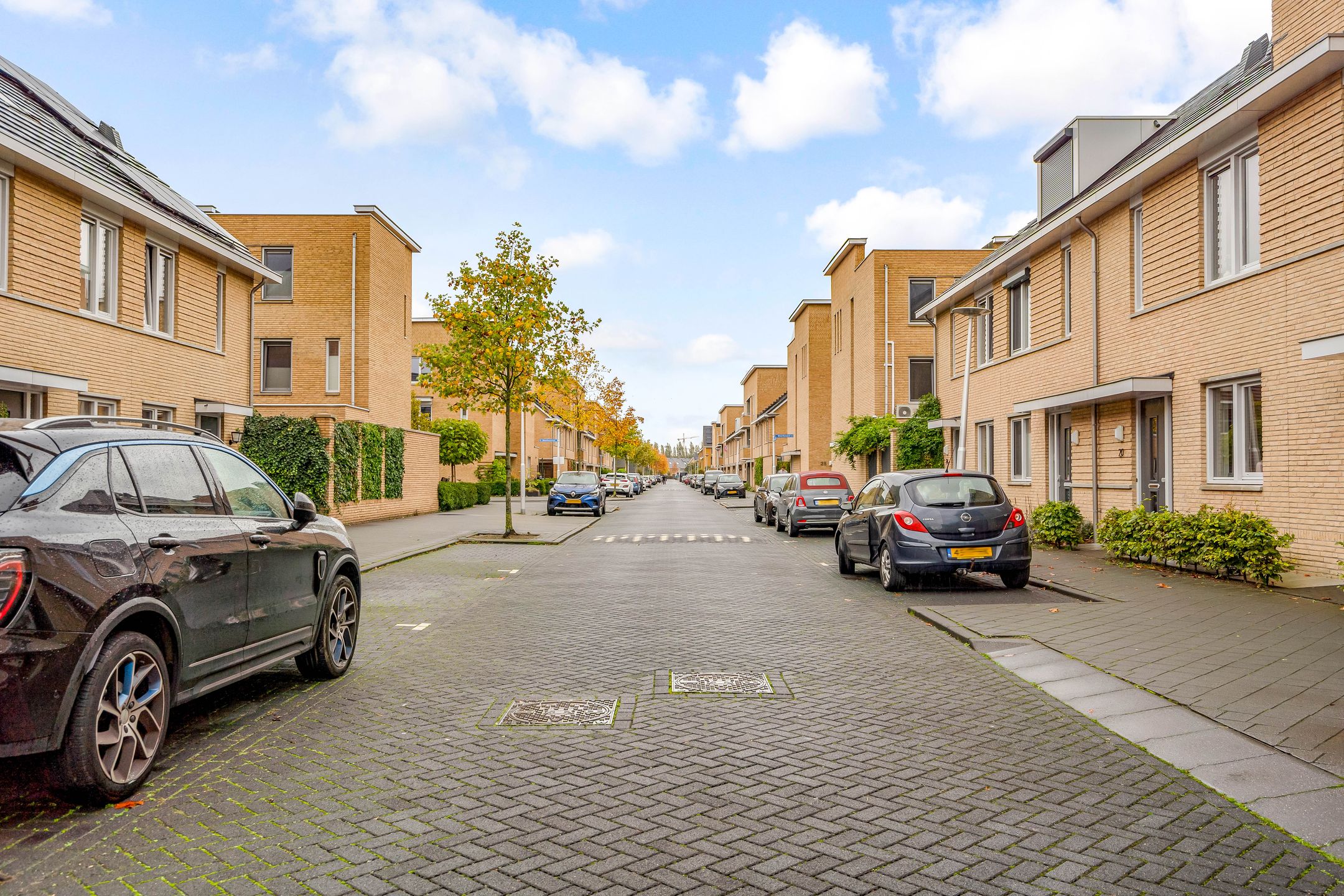 Foto 39 van Plantenkasstraat 14