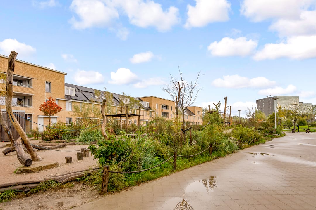 Foto 41 van Plantenkasstraat 14