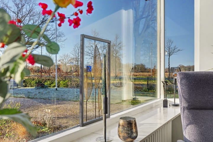 Photo 11 of Spreeuwstraat 52