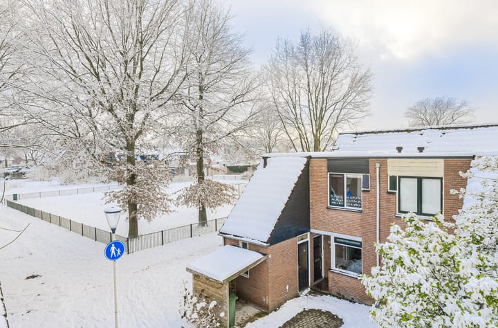 Foto 4 van Huiserf 42