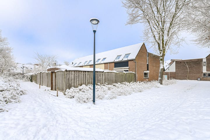 Foto 5 van Huiserf 42