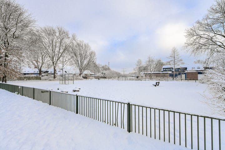 Foto 37 van Huiserf 42