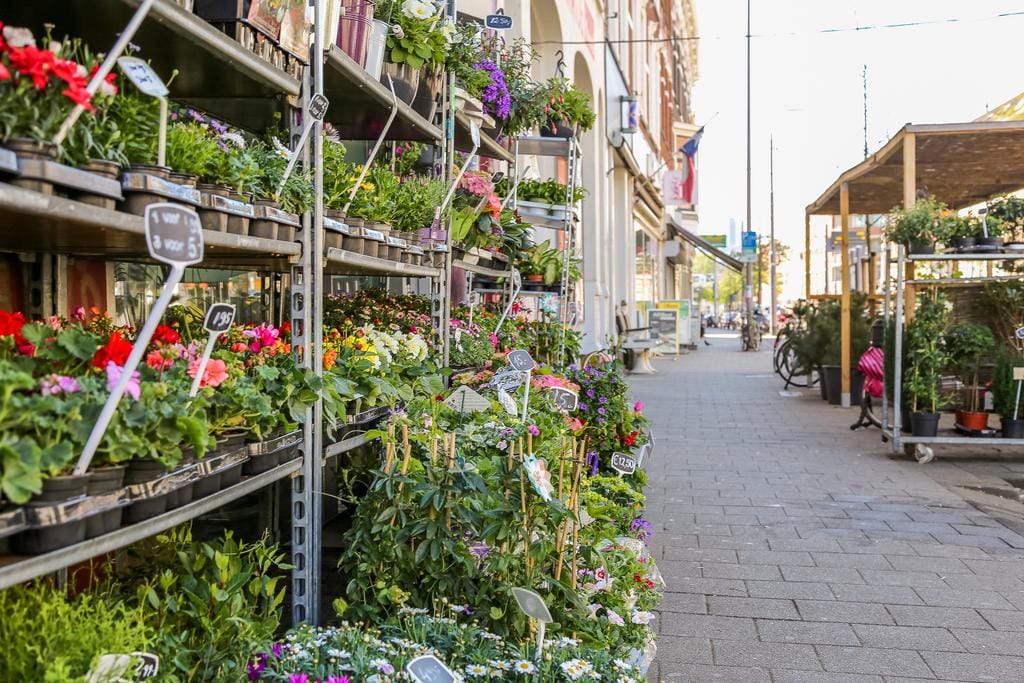 Foto 14 van Willebrordusplein 13-K