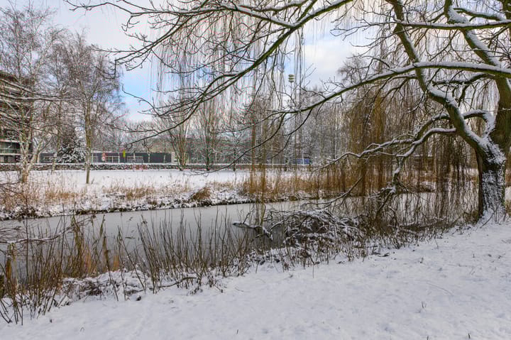 Foto 52 van Habanerastraat 55