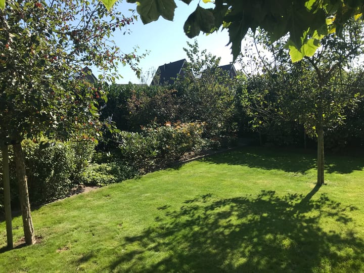 Photo 32 of De Boerboom 5