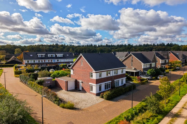 Photo 1 of De Boerboom 5