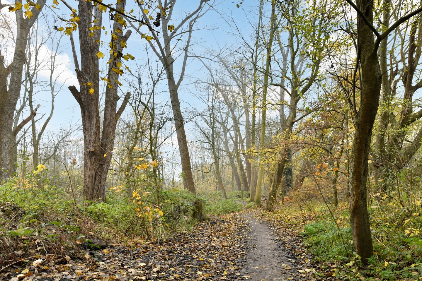 Foto 19 van Bataviastraat 60-A