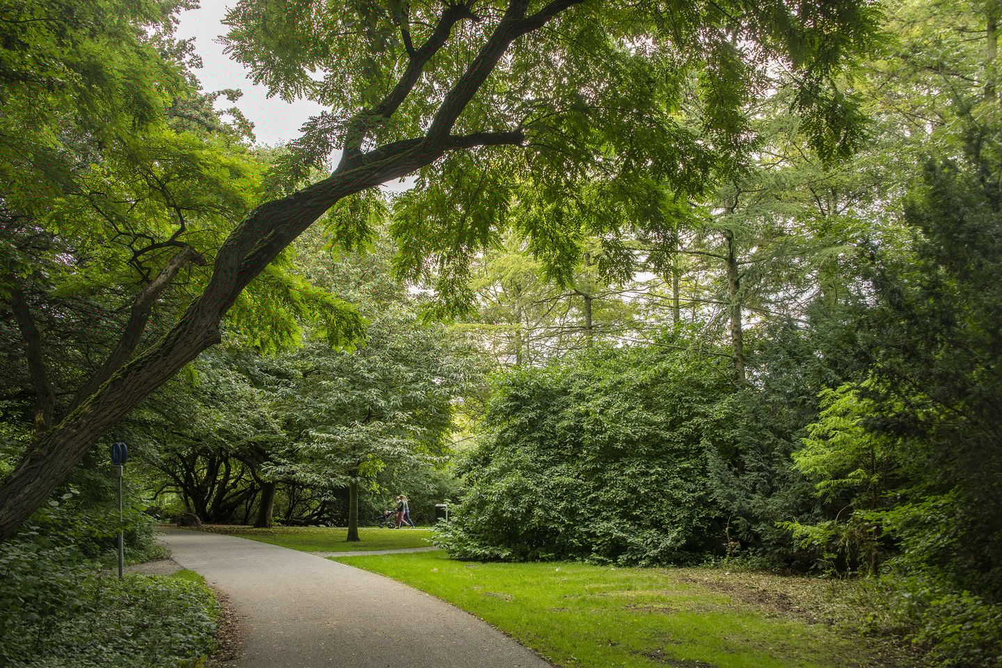 Foto 20 van Bataviastraat 60-A