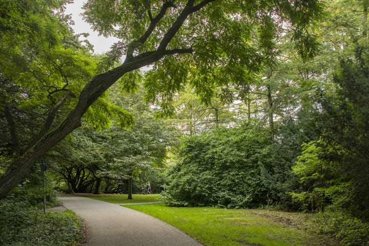 Foto 20 van Bataviastraat 60-A