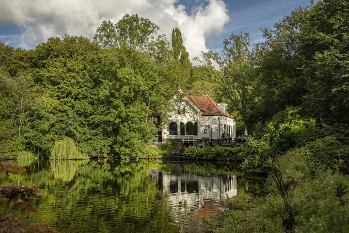 Foto 21 van Bataviastraat 60-A