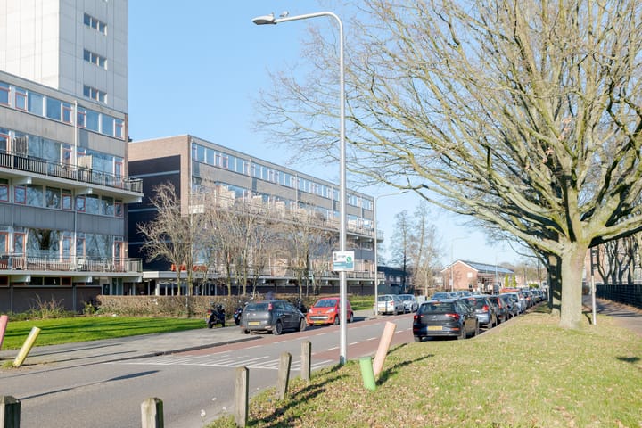 Foto 42 van Monteverdilaan 79