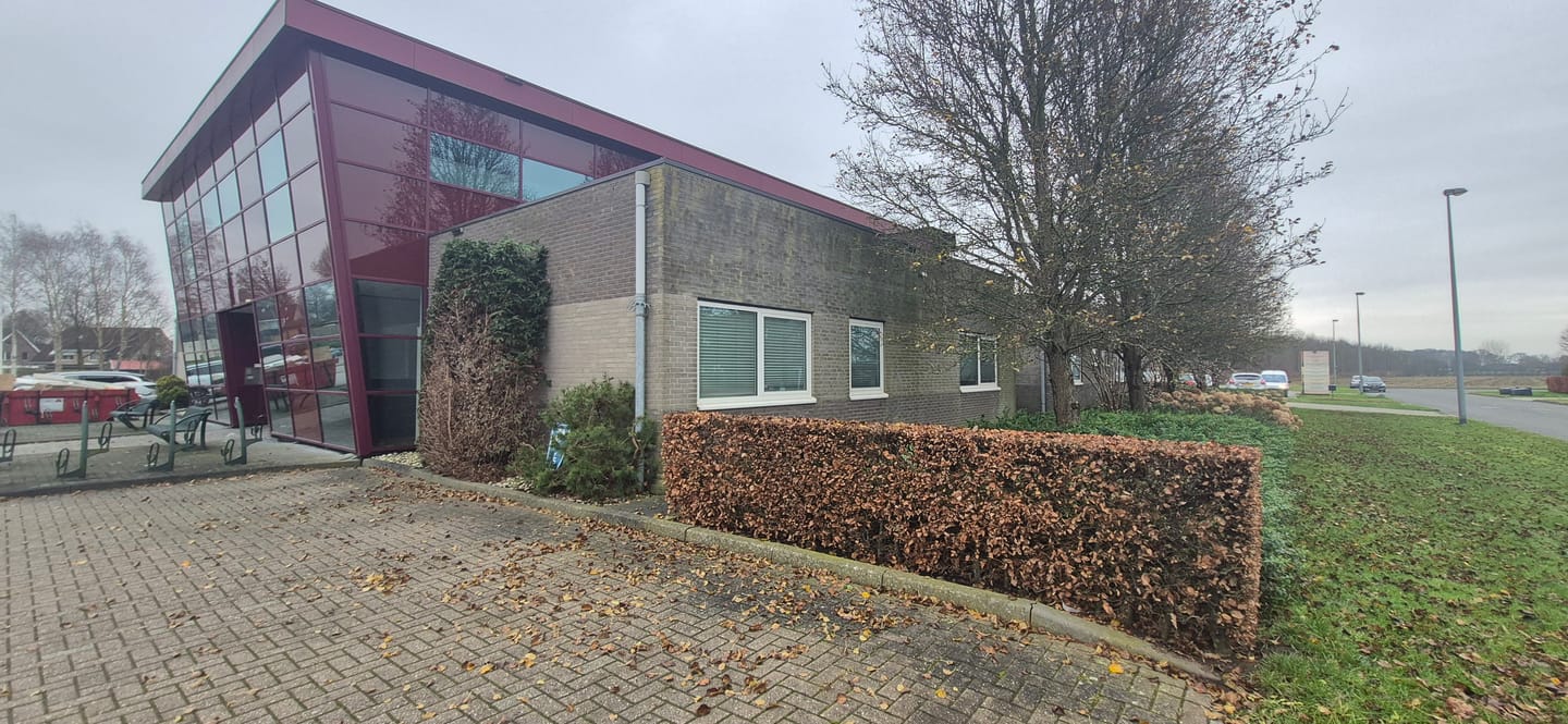 Bekijk foto 3 van Koriander 13