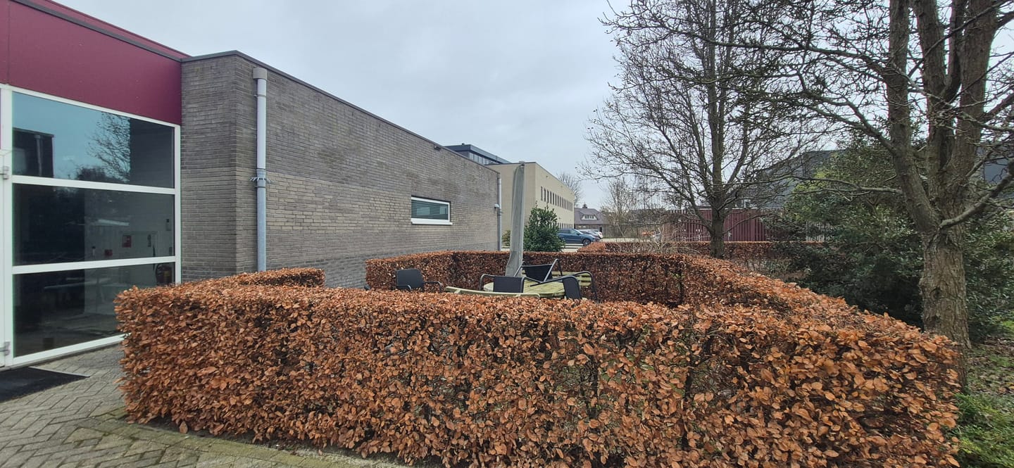 Bekijk foto 4 van Koriander 13