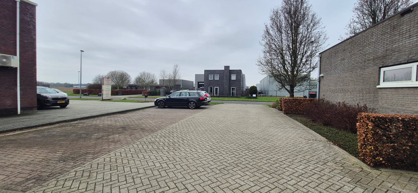 Bekijk foto 5 van Koriander 13