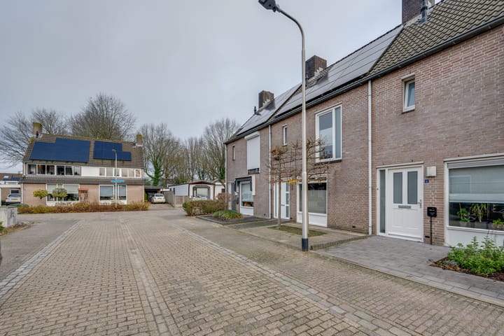 Photo 4 of Weegbree 4