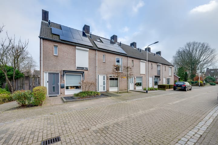 Photo 3 of Weegbree 4