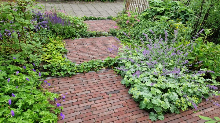 Foto 43 van Anemoonstraat 10