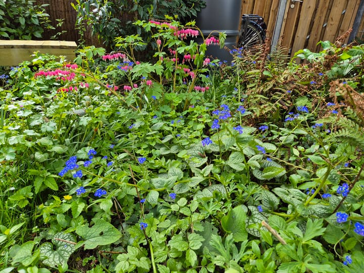 Foto 45 van Anemoonstraat 10