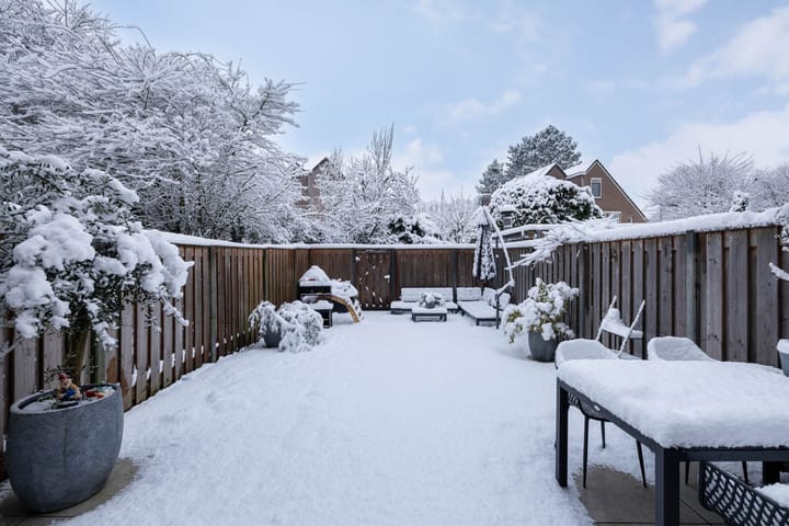 Foto 27 van Eland 37