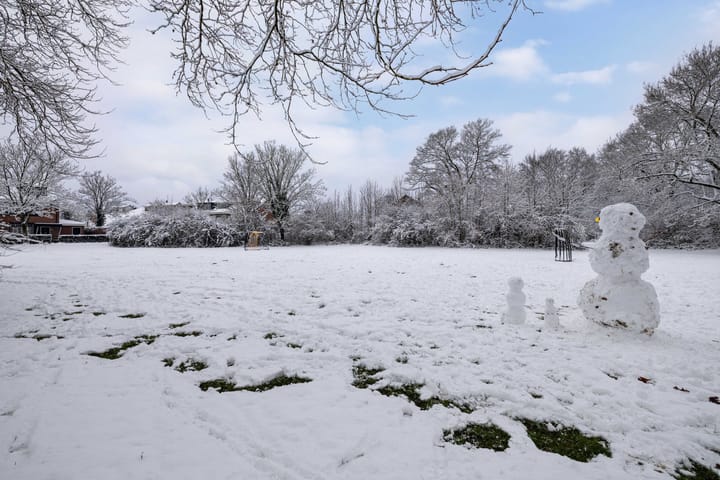 Foto 31 van Eland 37