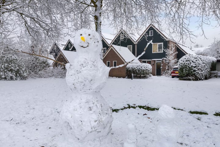 Foto 32 van Eland 37