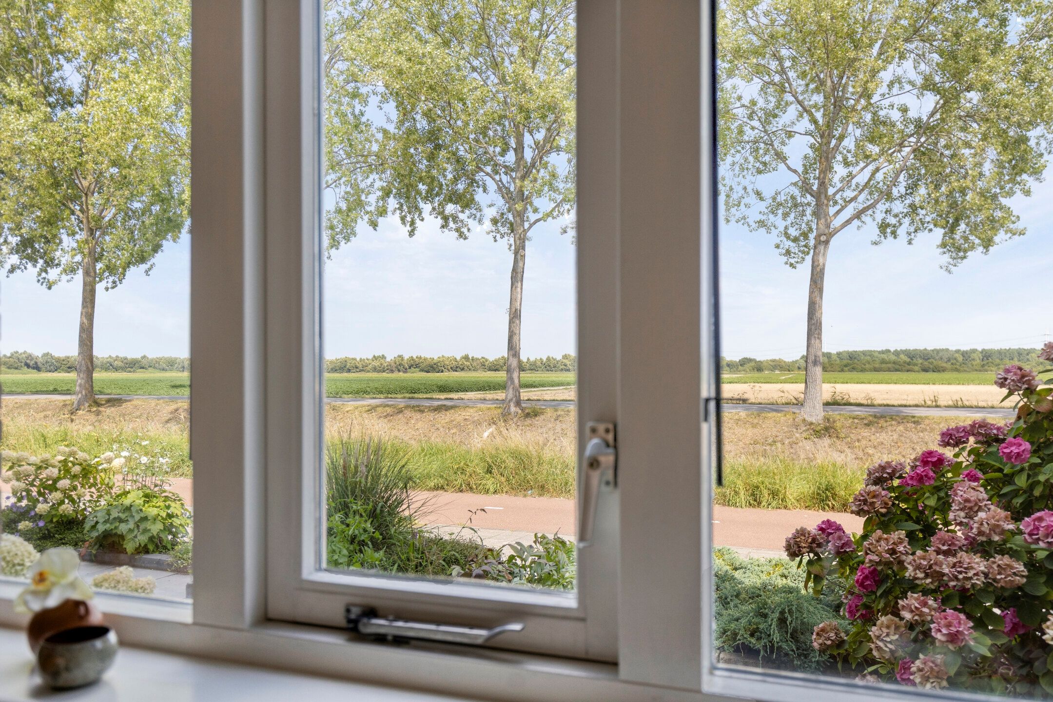 Foto 21 van Torkruidstraat 44