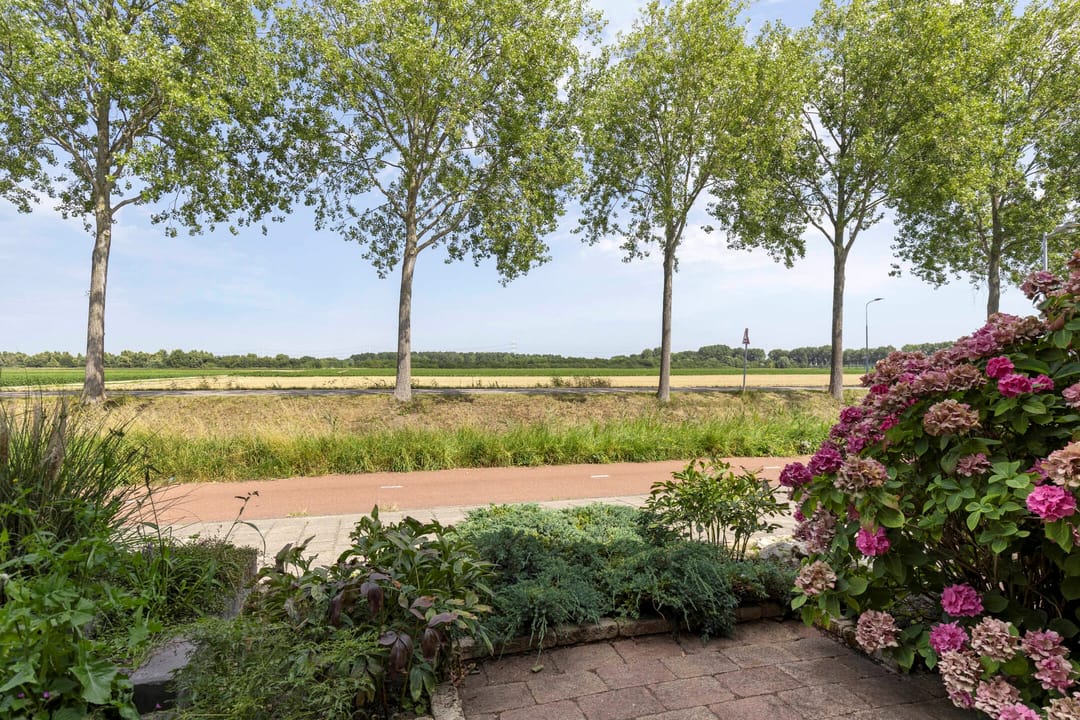 Foto 22 van Torkruidstraat 44