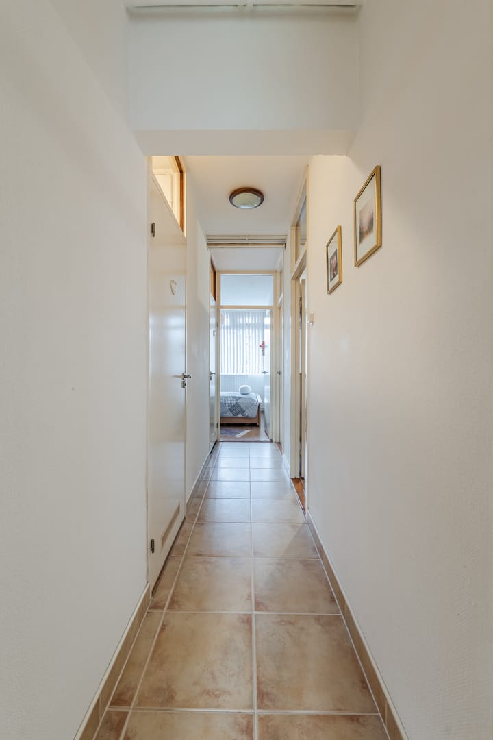 Foto 13 van Smetanalaan 194