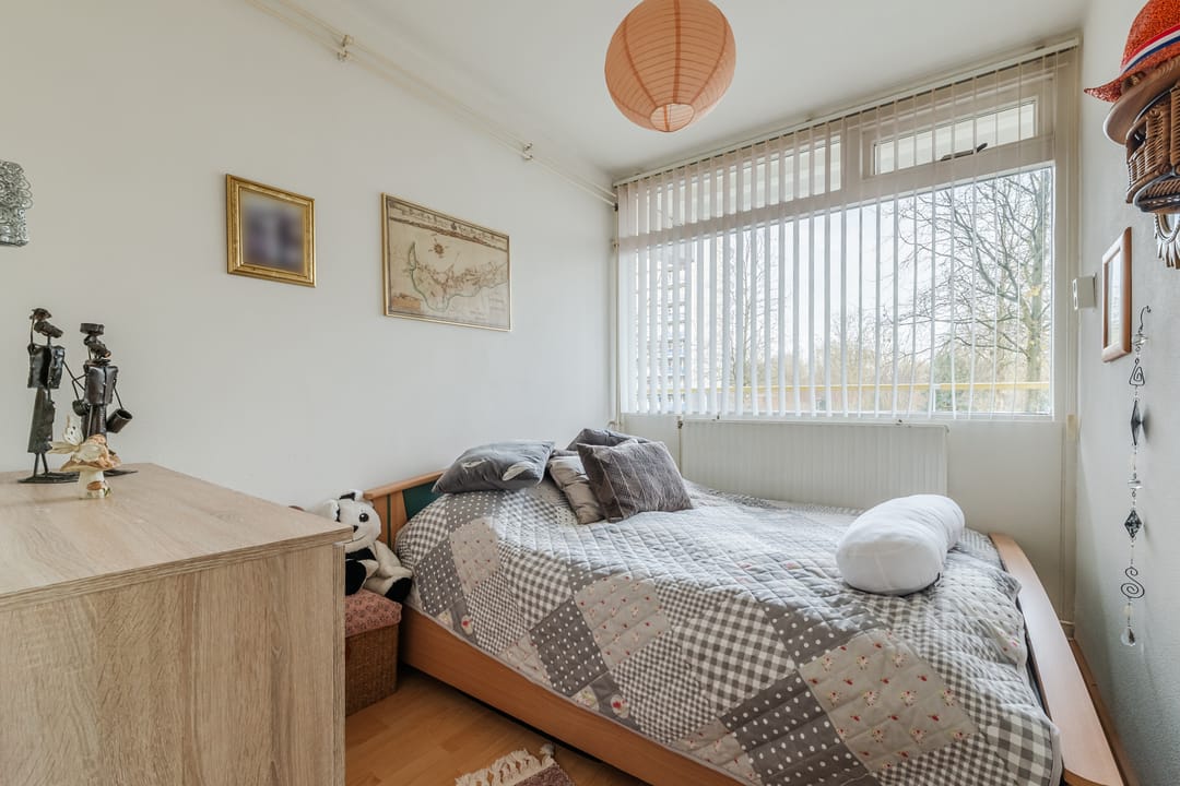 Foto 17 van Smetanalaan 194