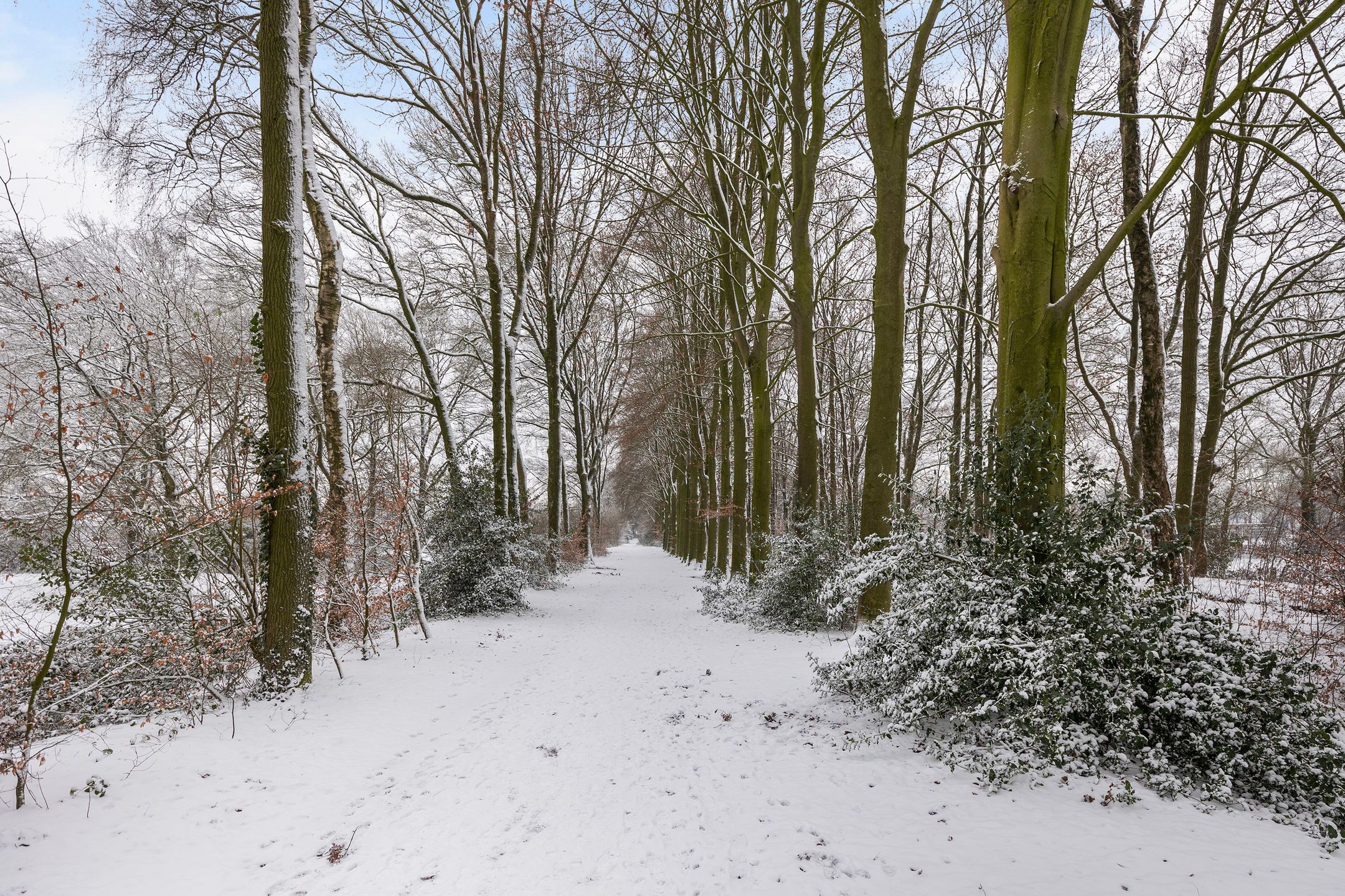 Foto 48 van Gouwestraat 12