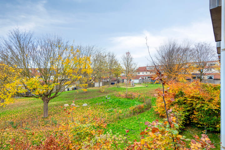 Foto 36 van Walvisplein 94-K