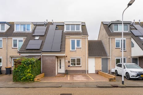 undefined main image