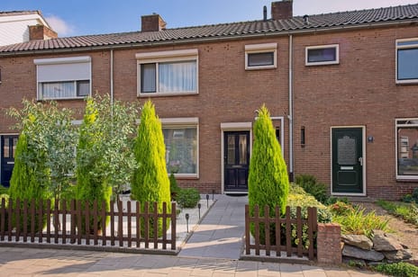 undefined main image