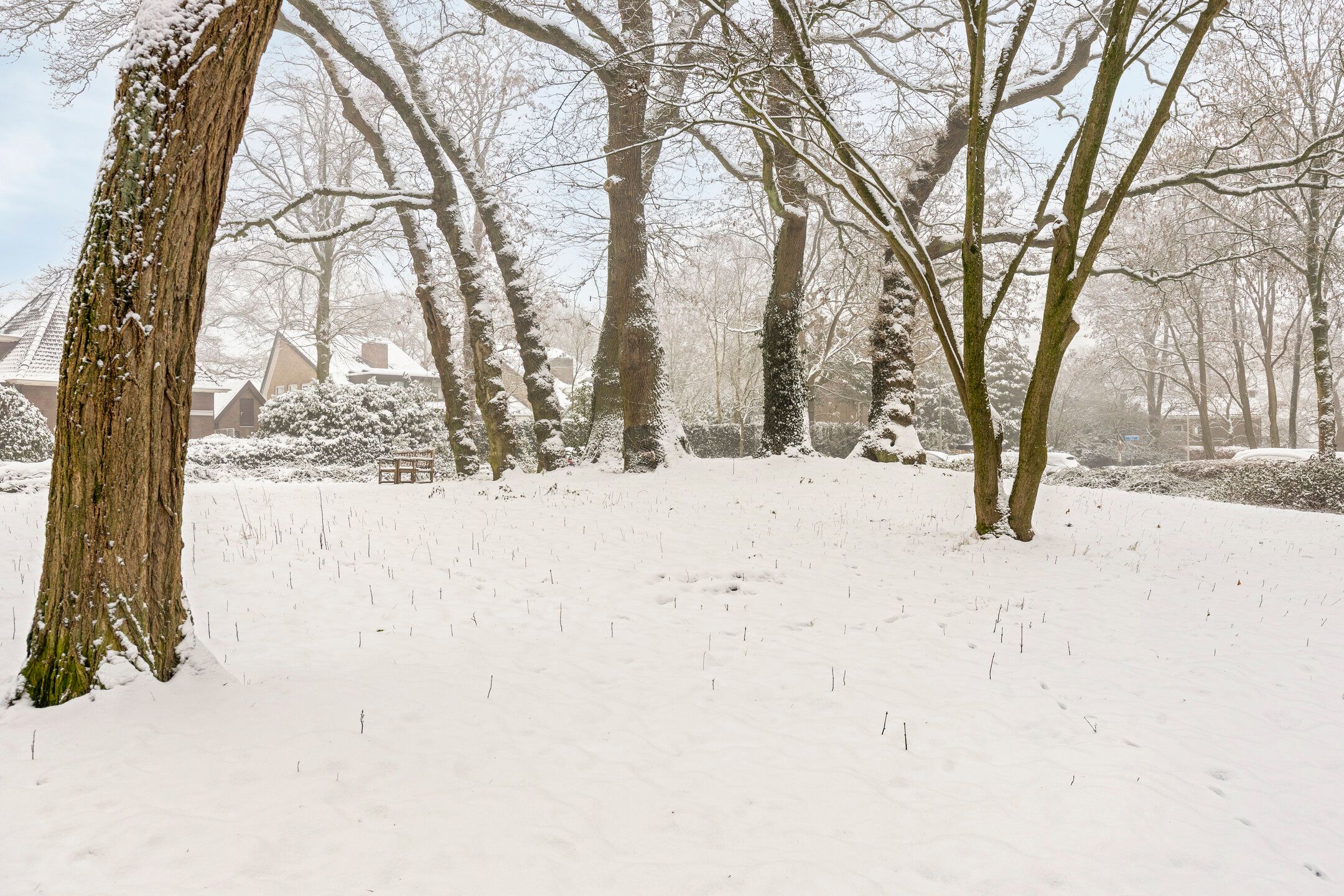 Foto 21 van van Wassenaersheuvel 45