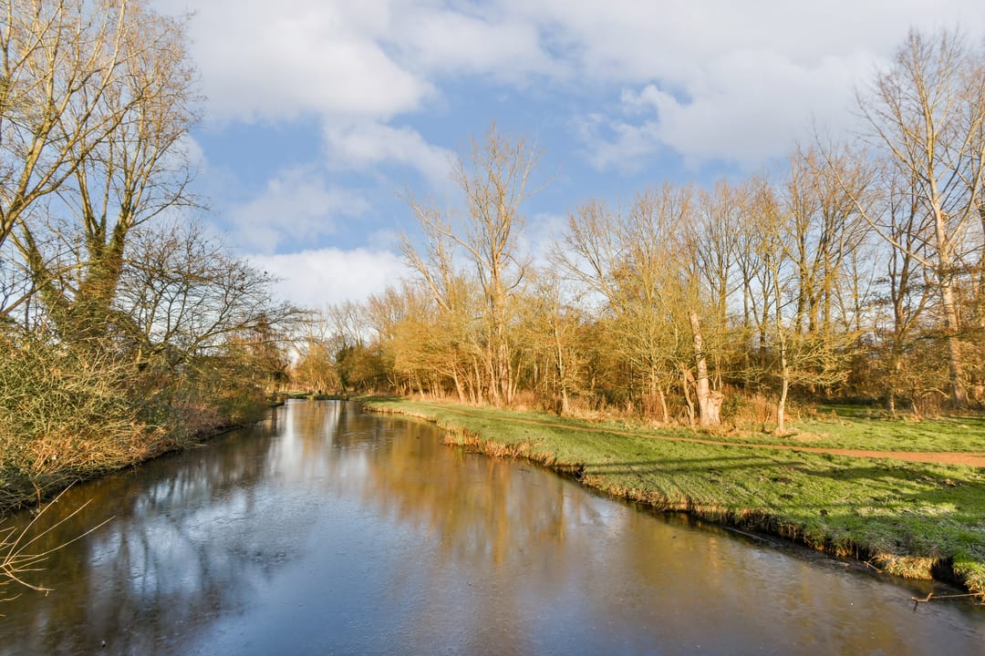 Foto 26 van Parklaan 63