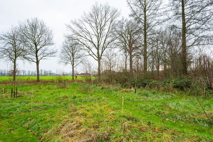 Foto 47 van Waalderweg 40