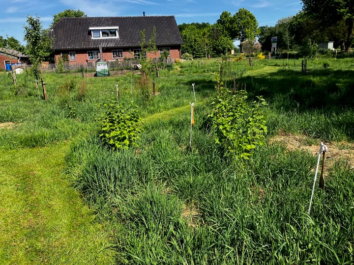 Foto 52 van Waalderweg 40