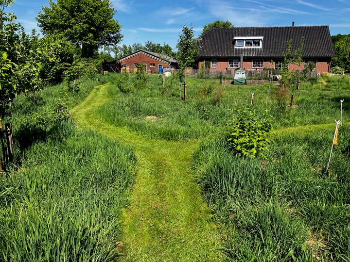 Foto 53 van Waalderweg 40