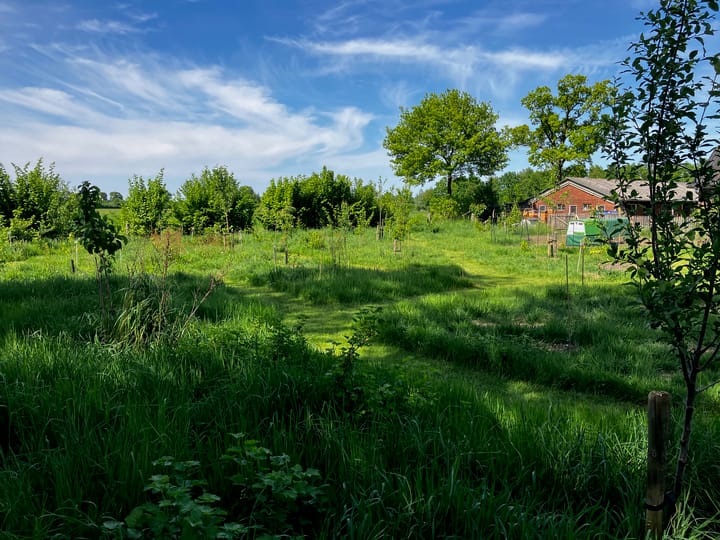 Foto 54 van Waalderweg 40