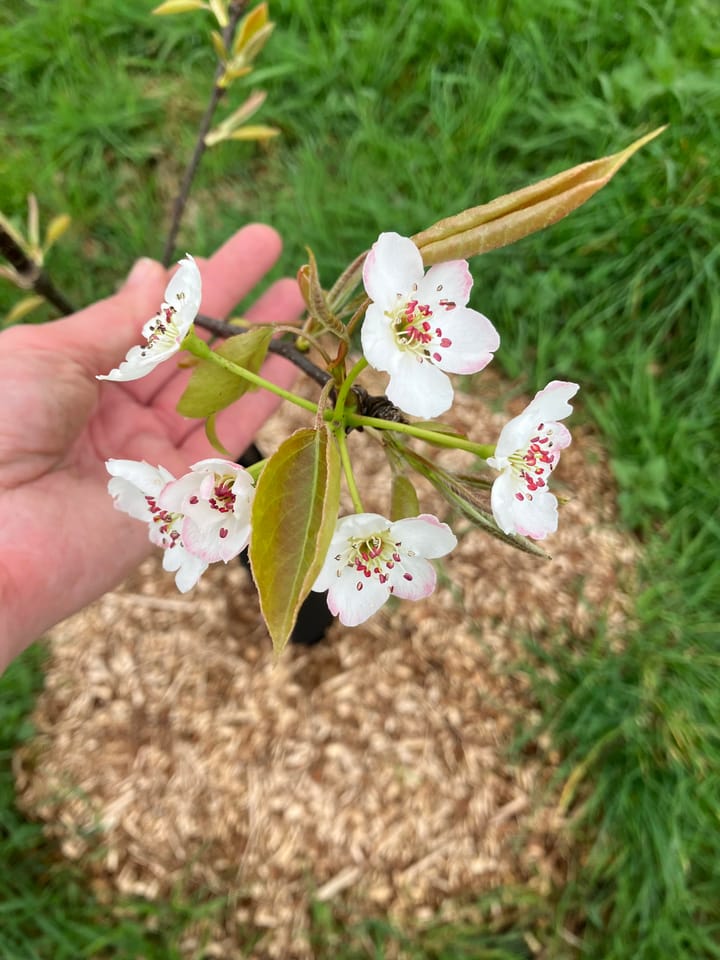 Foto 58 van Waalderweg 40