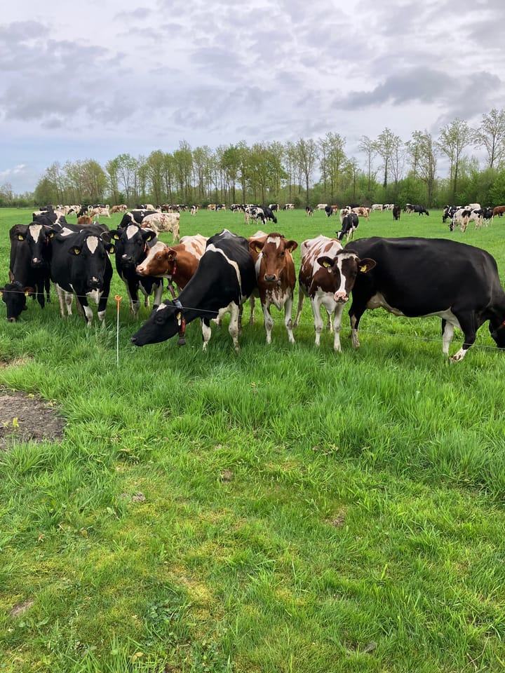 Foto 62 van Waalderweg 40