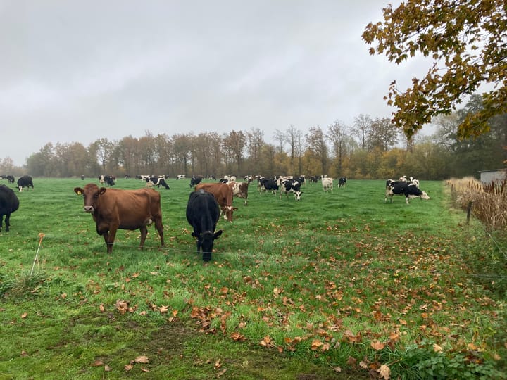 Foto 63 van Waalderweg 40