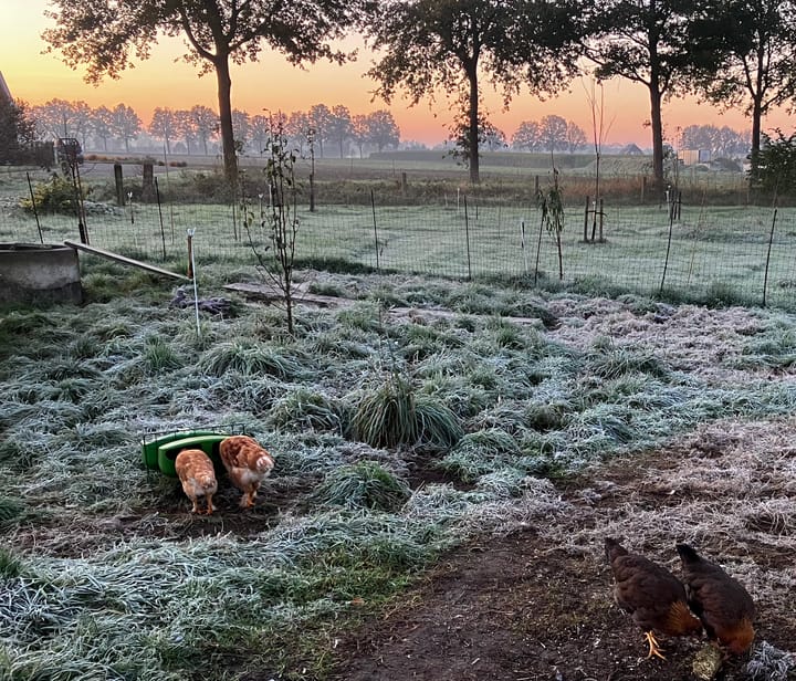 Foto 65 van Waalderweg 40