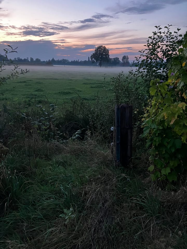 Foto 66 van Waalderweg 40