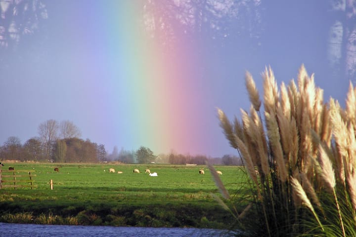 Foto 52 van Hooiland 16