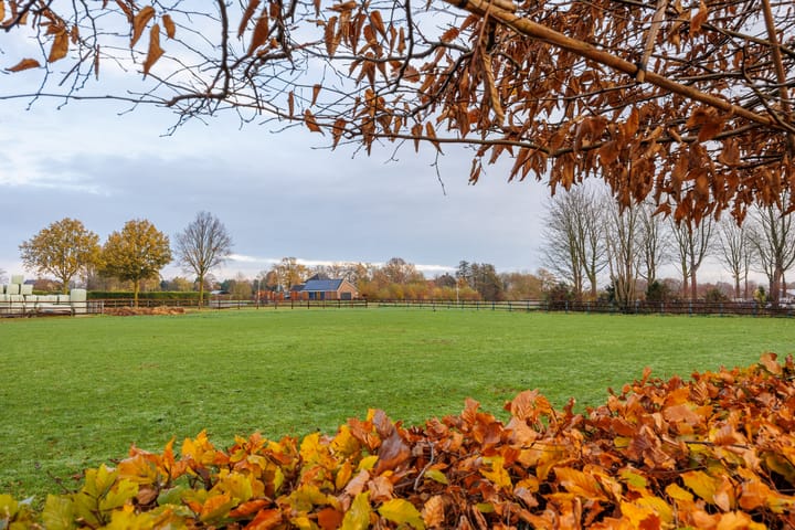 Foto 46 van van Heemstraweg 54-A