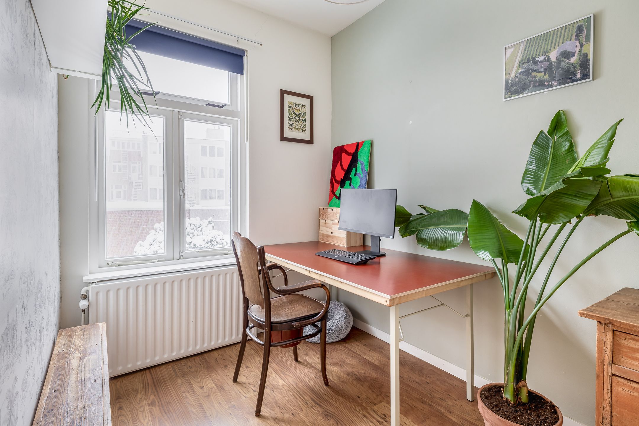 Foto 30 van Esdoornstraat 50